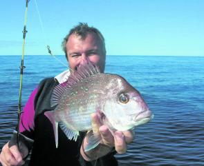 Snapper are prolific this Winter over the reefs.