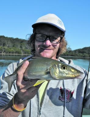 Whiting are plentiful in the estuaries and along the beaches.
