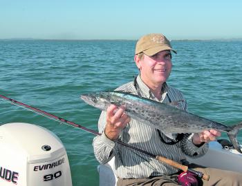 Spotted mackerel are making an appearance in Moreton Bay this summer and are great fly rod sport. 