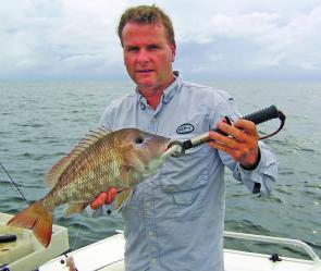 One fish of a great haul landed by Lance McFayden during an early session off Noosa.