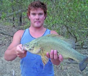 The narrow, muddy Broken River gave up this golden perch for Sean Gledhill.
