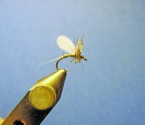 Wind on the hackle 3-4 turns then tie off, whip finish, and apply a drop of head cement. Clip the hackle underneath so that it sits flush in the surface film.