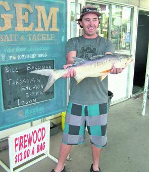 King threadfin salmon are great fighting fish for the sports fisher out there.