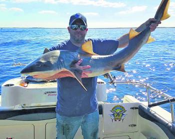 Brad Parkinson with a lovely big winter gummy shark taken while fishing southern PPB!
