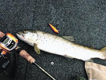 Trout have been largely confined to the deeper layers of water by the hot weather in the mountains and fishing has been tough. A few large browns, however, have been taken by deep trolling with lead core line or a downrigger. 