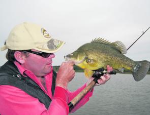 A cool, cloudy Spring day with a rising barometer will have you eyeballing golden perch in no time.
