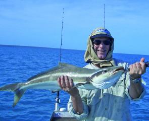 Cobia make for a great fight, and also fare very well as an eating fish.