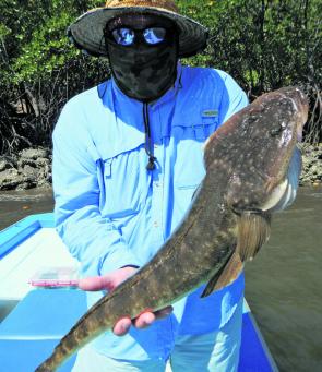 This is a decent sized flathead for the area. 