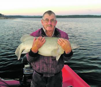 Wayne Nichols with his 92cm white cod prior to release.