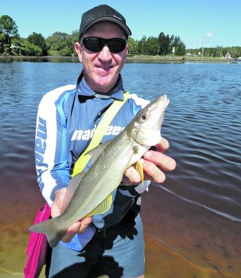 Yabbies (with their colour and smell) and bright red tubing above the hook accounted for this nice whiting in discoloured water.