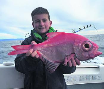 Mark Danziger took the boys out chasing blue-eye and found this Alfonsino.