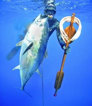 Big tuna demand big guns like this Riffe Blue Water speargun 49.