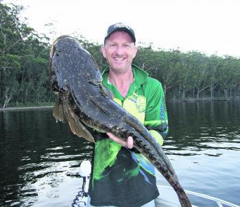 Allan Shackleton with a stunning flatty that measured 94cm caught on a hardbody lure in the shallows of Lake Conjola.