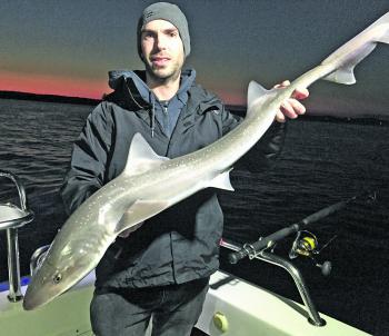 Think Big Charters client Brendan holds a nice gummy from a recent night on the Port.