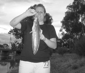 Worms and peeled yabby tails have been productive on Wimmera River catfish.