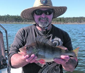 Tim visited from South Australia and this was the better of several redfin he landed at Rocklands.