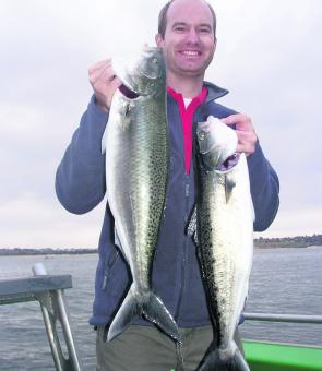 Salmon are great sport fish on light gear and readily available this month.