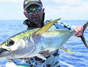 Yellowfin tuna are insane line-burning fun, and these speedsters will be coming on this month.