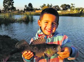 Young Jackson Smith proudly displays a nice redfin he caught on a lure in a local suburban dam. 