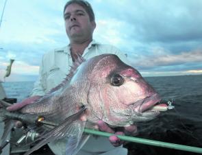 Snapper will be on the chew this month, and well worth getting up early for.