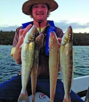 Cracker Tassie whiting are out there if you take the time to look, learn and adapt.