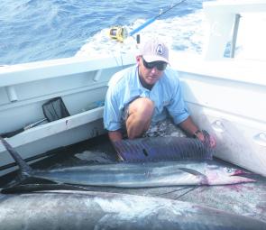 You never know what might show, with short-billed spearfish mixing it with the marlin in the hot water.