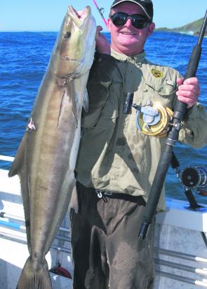 Cobia often make an appearance on the Illawarra coast this month.
