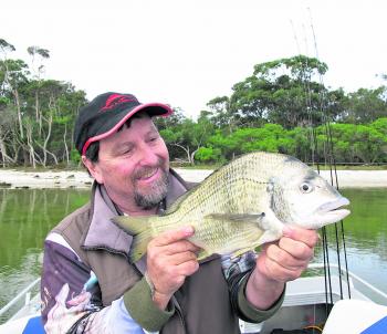 Yellowfin bream were once rare in the Gippy Lakes and this recent 45cm truck is yet another special catch.