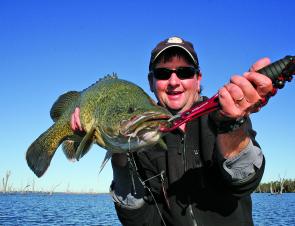 Single-bladed, lightly dressed Bassman spinnerbaits are one of my favourite lures for lake cod.