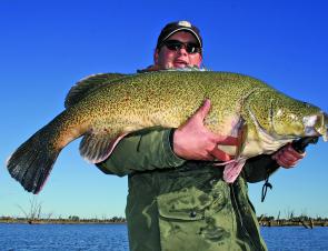 Big green fish are the pinnacle of lake fisher’s dreams when it comes to cod. This Lake Mulwala fish is a prime example of getting it all right.