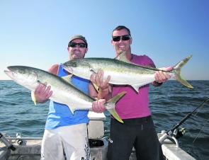 Quality kingfish like this pair should be on the chew until June.