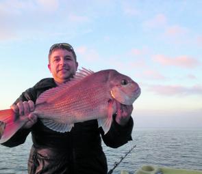 Western Port snapper have really come on strong.