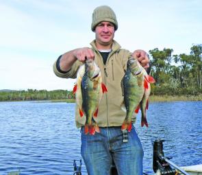 Four out of a big catch of redfin the author and his son caught recently at Wartook on soft plastics.
