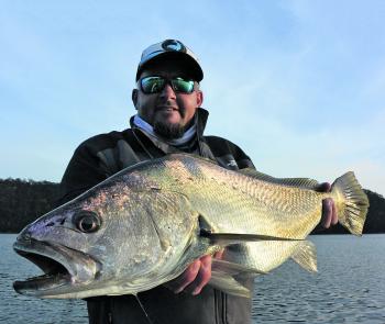 Some good mulloway can be caught in the lower reaches this month using live baits and lures. Fish structure an hour either side of the tide change.