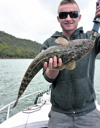 Flathead are still well spread throughout the system. Using your sounder and some sinking lures like soft plastics and blades will help you find the action.