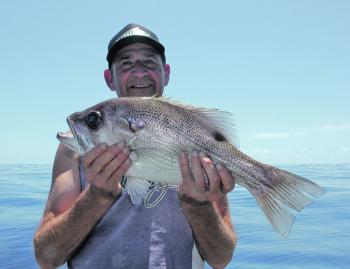 Ross with a fat pearl perch caught from Barwon Banks.