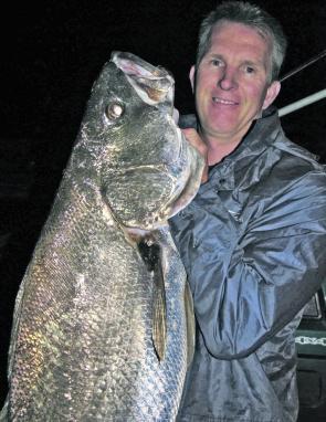 A few baitfish poking around have inspired some solid mulloway to come out and play. The author took this 23kg model on a Stiffy Mackerel Mauler off the rocks.