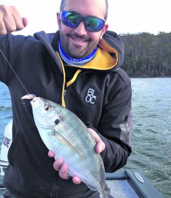 Plenty of silver trevally are around, and they love lures.