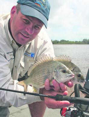 The author with a pigeon pair of bream taken deep along the walls on soft plastics.