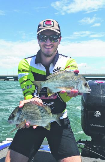 David Simmons with some healthy Redcliffe bream.