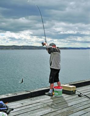 There is always plenty of action on Tathra Wharf.