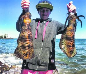 Young Jack had a great time sight casting to these ‘suckers’ around the rocky shallows of North Straddie. Tiger squid are prevalent throughout the bay islands and are great fun for the kids, they also make a mean live bait.