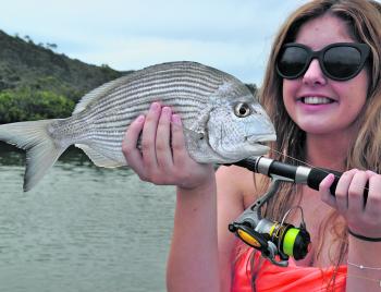 Tarwhine are an interesting capture, and this photo really highlights the difference between them and yellowfin bream. 