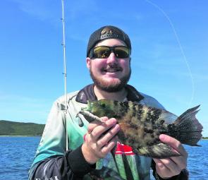 Mitch caught this nice tuskfish drop shotting around north Keppel.