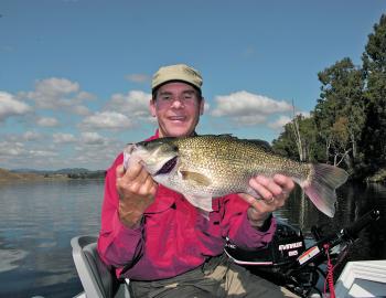 Bass like this are pretty common in Somerset and Wivenhoe dams. It comes down to whether or not they are biting on the day. 