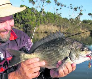 The warmer weather we’ve had has seen some bigger bream come out and play, like this one caught by the author. 