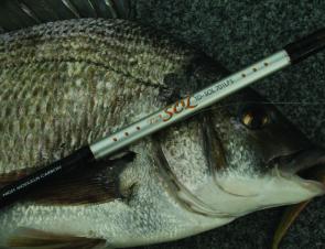 Hopefully the local bream population will bounce back from the recent netting scandal.