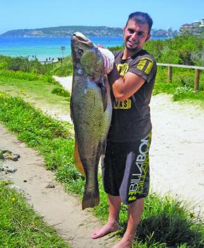Mason Teddini’s first jewfish, of 18.6kg, took a 35cm butterflied mullet on Narrabeen Beach.
