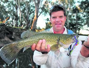 Brett Corker with a typical sized Murray cod caught in the Wangaratta area last season on a spinnerbait.