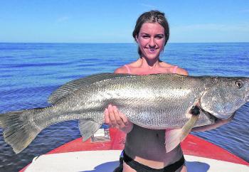 Courtney Krawec making it look easy with a thumper mulloway from North Reef.